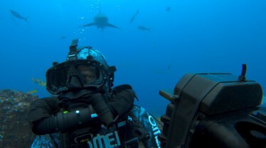 ep104_sharkisland_epicadventureswithbertiegregory_04-cg_cee64eda.jpeg