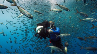 ep102_dolphinquest_epicadventureswithbertiegregory_041-_d0991c51.jpeg