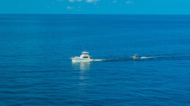 ep102_dolphinquest_epicadventureswithbertiegregory_02-c_526522ca.jpeg
