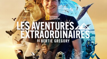 LES AVENTURES EXTRAORDINAIRES DE BERTIE GREGORY