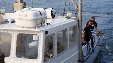 Wicked Tuna Back on the Hunt.jpg