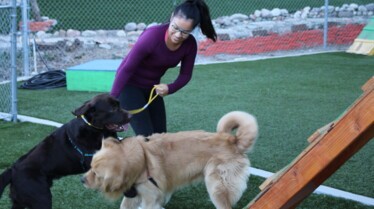 Cesar Millan Dog Therapy (3).jpg