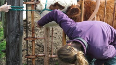 Dr.Pol The Return of Dr. Strangeglove (2).jpg