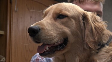 dr.Pol Toe the Swine (3).JPG