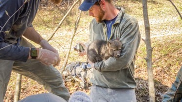America'sNationalPark Everglades (2).jpg