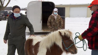 DR.Pol Another Day Another Collar (2).JPG