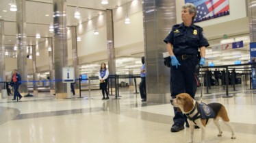 Ultimate Airport Suspicious suitcase (3).JPG