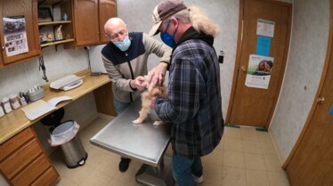 Dr.pol Cat Scratch Fleaver (2).jpg