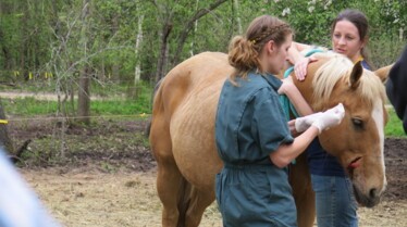 Dr.Pol ItchinForAStichin (3).jpg
