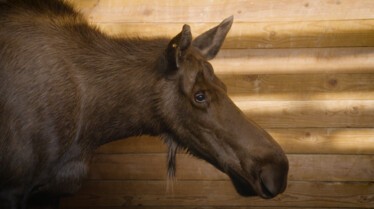 Secrets of The Zoo (3).JPG