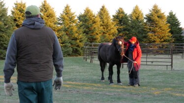 L'incroyable Dr Pol  Surprise surprise ! (1).jpg