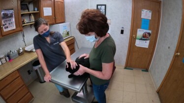 L'incroyable Dr Pol Star Ouaf (1).jpeg