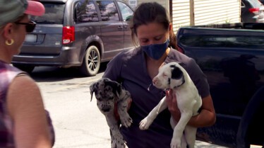 L'incroyable Dr Pol Star Ouaf (1).JPG