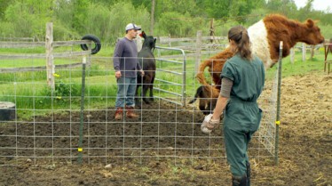 L'incroyable Dr Pol Star Ouaf (2).JPG