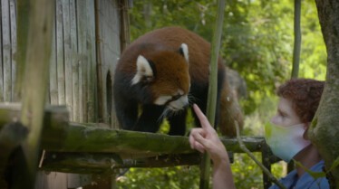 Secrets of The Zoo (1).JPG