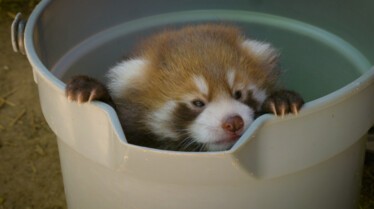 Secrets of The Zoo (2).JPG