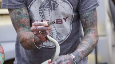 Snakes In The City  Cauchemar au bureau (2).jpg