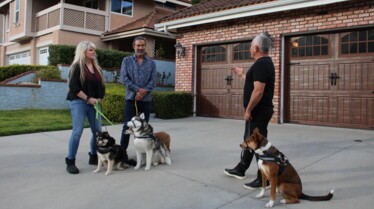 Cesar Millan  Tel maître, tel chien -  Les crocs de l’apocalypse (1).jpg