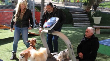 Cesar Millan  Tel maître, tel chien -  Les crocs de l’apocalypse (2).jpg