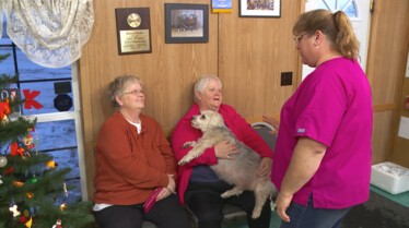 L'incroyable Dr Pol  Le plus fidèle des compagnons (2).jpg