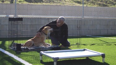 Cesar Millan  Tel maître, tel chien - Terreur à quatre pattes (2).jpg