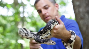 Une Saison au Zoo Episode 5 (2).jpg