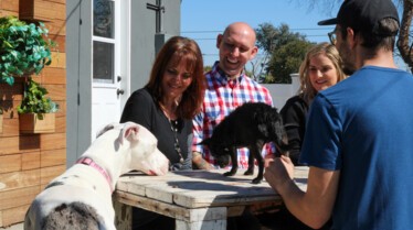 Cesar Millan  Tel maître, tel chien - Confiance aveugle (2).jpg