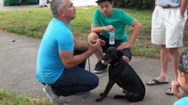 SOS Cesar  Le monstre à trois têtes (1).JPG