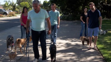 SOS Cesar  Le monstre à trois têtes (2).JPG