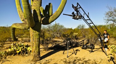 America's National Park Saguaro (3).JPG