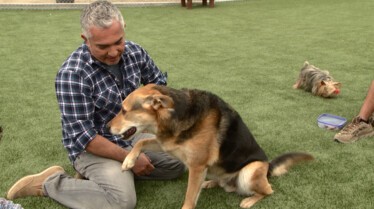 SOS Cesar  La reine de l'évasion (3).jpg