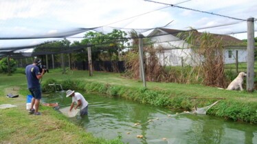 Les rois des aquariums  Plus vrai que nature (3).jpg
