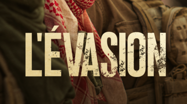 L_evasion.png