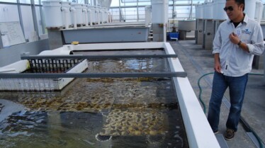 Les rois des aquariums  Un gros client (3).jpg