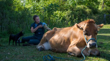 L'incroyable Dr Pol  Accident de chasse (2).jpg