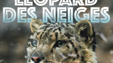 Leopard_des_neiges.png