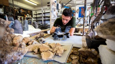 TheDinosaurHunter_Italy6.jpg