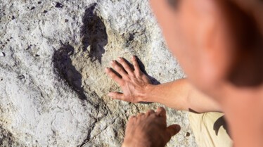TheDinosaurHunter_Italy15.jpg