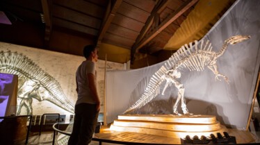 TheDinosaurHunter_Italy34.jpg