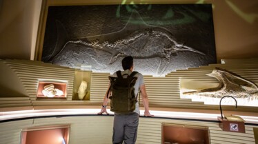 TheDinosaurHunter_Italy38.jpg