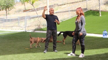 Cesar Milan  Jurassic Pack Part 1 (1).jpg