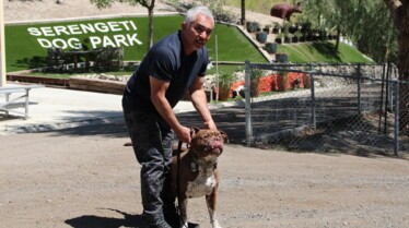 Cesar Milan  Jurassic Pack Part 1 (2).jpg