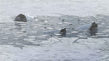 Air Crash  Le fleuve glacé (1).jpg