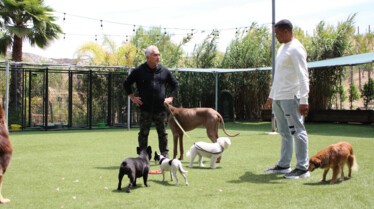 Cesar Millan  (2).jpg