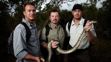 Chasseurs de pythons  L'anaconda de l'Amazone (1).JPG