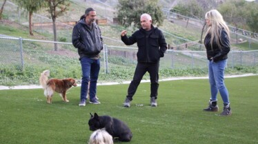 CesarMillan Meute aux abois (2).jpg
