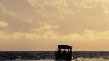 Furie en Floride (2).JPG