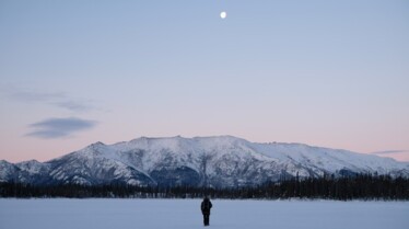 Alaska  Nouvelle vie - Hôtel canin (3).jpg