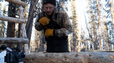 Alaska  Nouvelle vie - Forêt fantôme (2).jpg