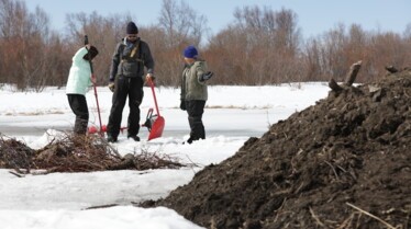 Alaska  Nouvelle vie - Forêt fantôme (3).jpg